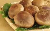 ?10種食物助力提升免疫力 提高免疫力的四食譜推薦