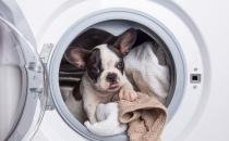 ?教你家電菜鳥(niǎo)變高手 如何正確挑選適合的洗衣機(jī)