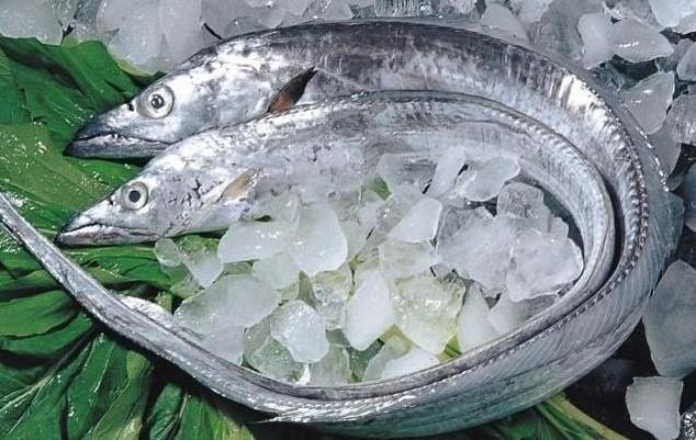 為什么帶魚不能人工養殖?帶魚是深海魚嗎?有什么營養價值