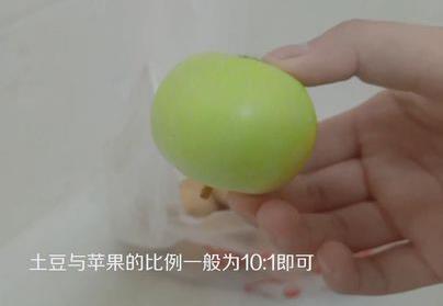 土豆發芽了還能吃嗎？剛發芽的土豆可以吃嗎