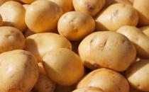 ?相生相克的食物可不能在一起吃 平時飲食可要注意啦