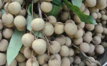 ?孕婦科學健康飲食最重要 孕婦不能吃的10種食物